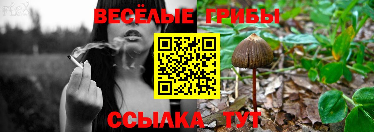 Псилоцибиновые грибы Magic Shrooms  Вход с VPN  Среднеуральск 
